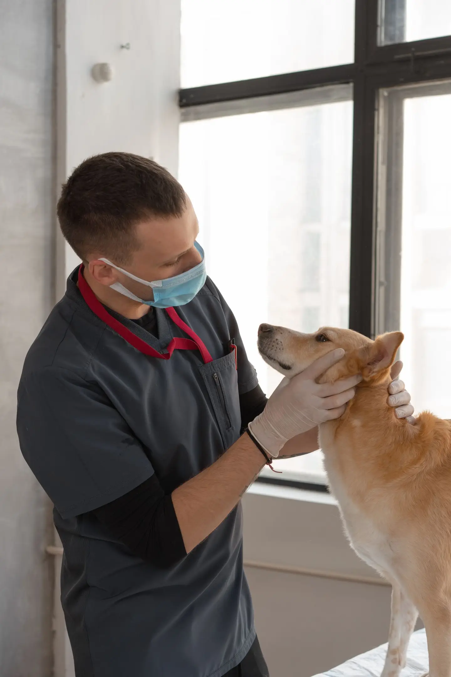 Man Looking at a Dog